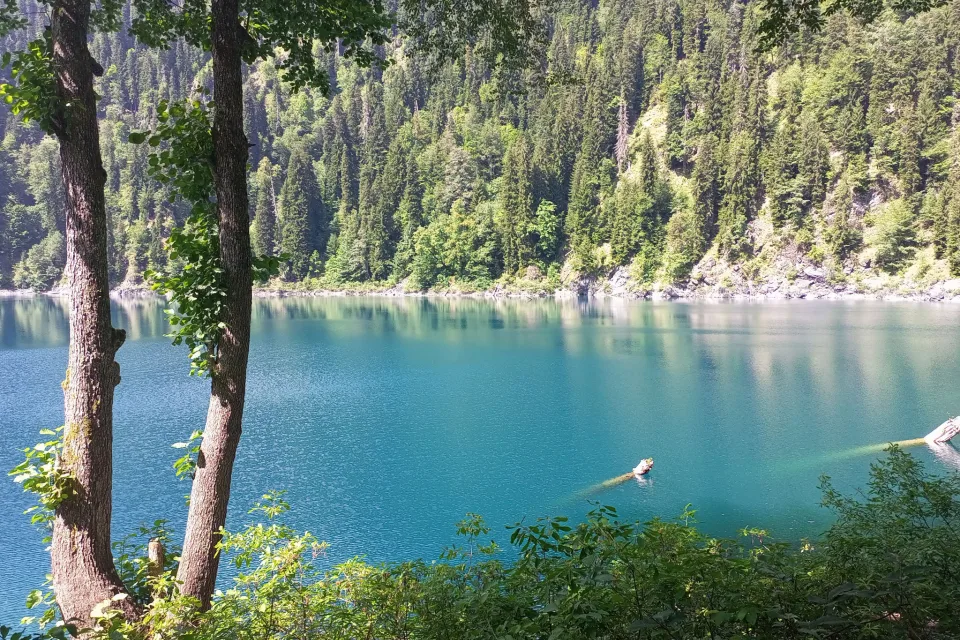 Изображение статьи